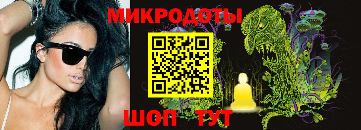 Галлюциногенные грибы Psilocybine cubensis  Вход с VPN  Новороссийск 